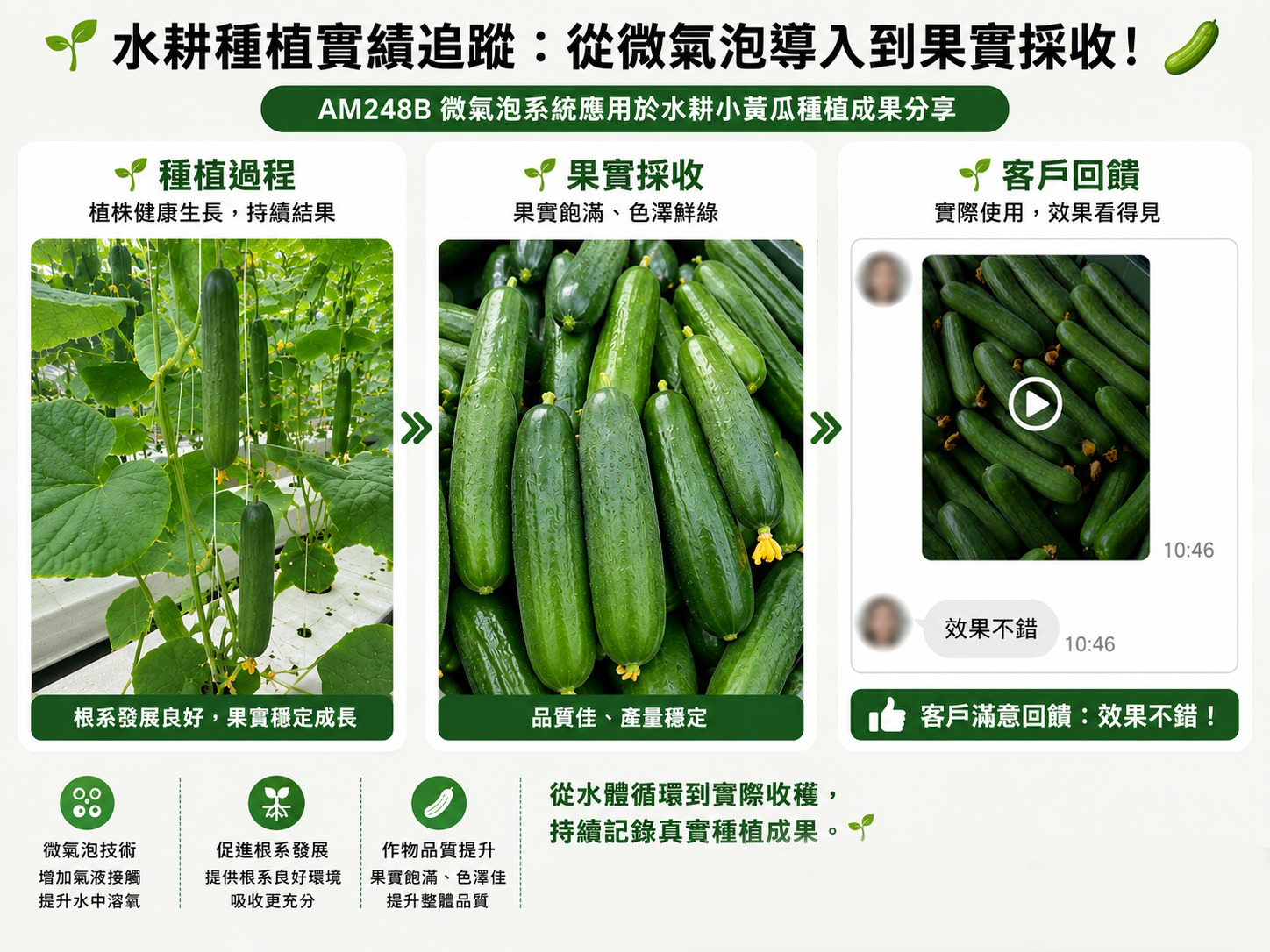 AM248B微氣泡水耕種植農場種植成果