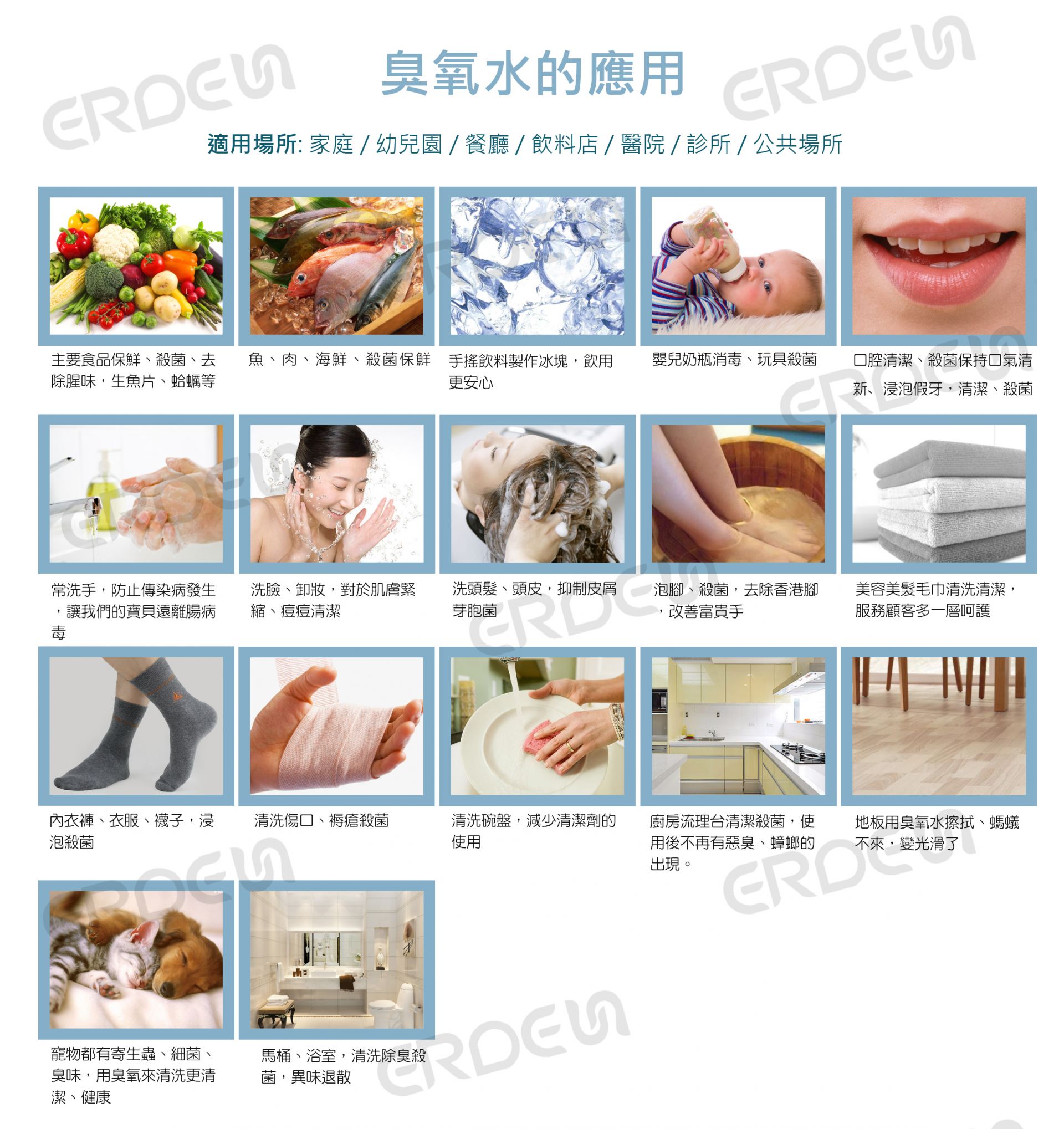 오존 적용