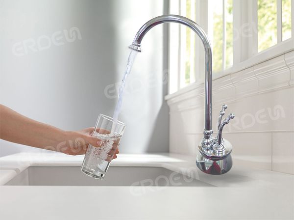 ERDEN Ec Dual-Temp RO Drinking Faucet