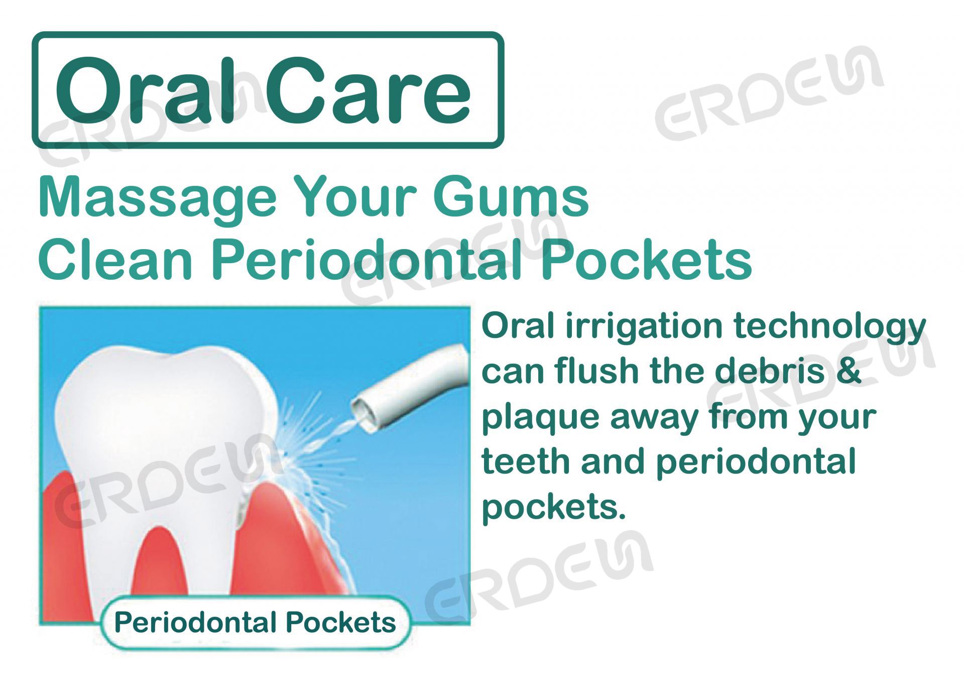 Oral Care