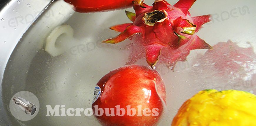 Microbubble Food Cleaning Device