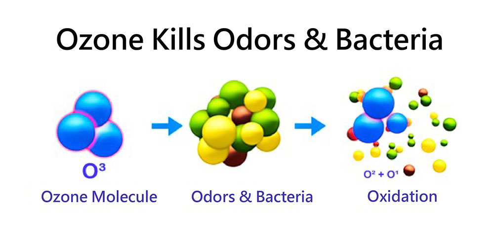 โอโซนฆ่ากลิ่นและแบคทีเรีย