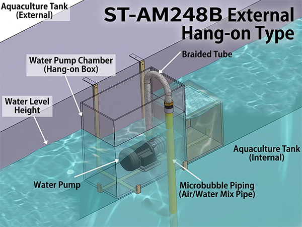 AM248B