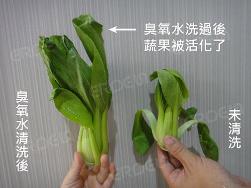 野菜が活性化されました