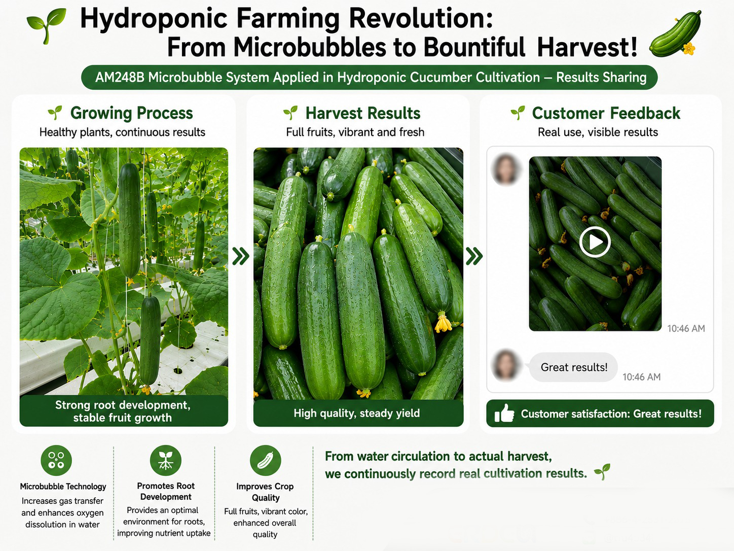 hydroponic-cucumber-harvest-results-EN