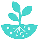 Root growth environment