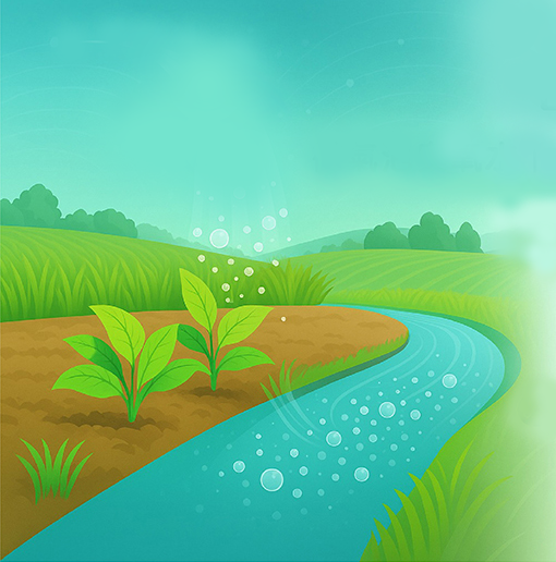 ERDEN Microbubble ozone water agricultural irrigation application