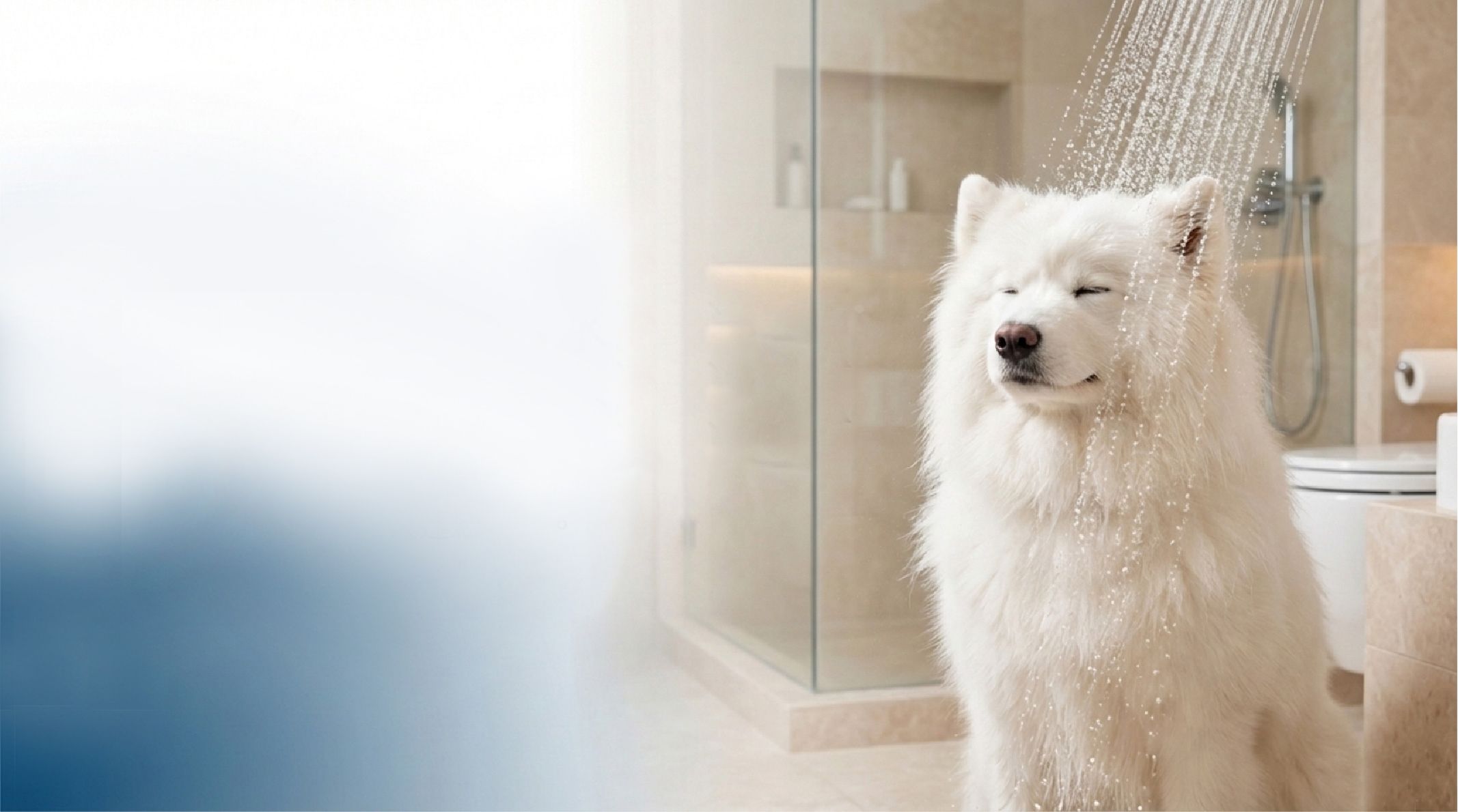 Ozone water pet bathing